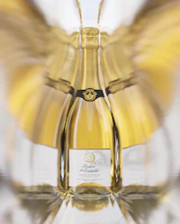 a bottle of champagne on a white background