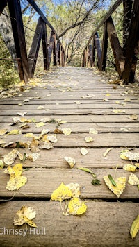 a wooden bridge with leaves on it