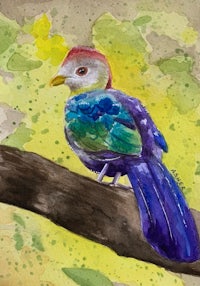 a watercolor painting of a colorful bird perched on a branch