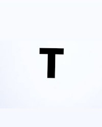 a black and white image of the letter t