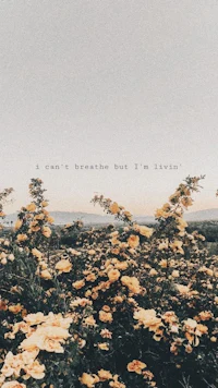 a field of yellow flowers with the words'a breath of fresh air'