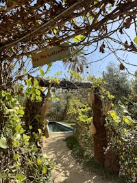 a path leading to a pool surrounded by plants