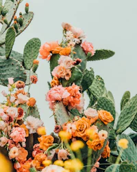 a bouquet of flowers with cactus plants in the background