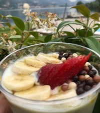 a person is holding a cup of yogurt with bananas and berries