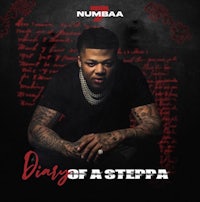 the cover of numba's diary of a steppa