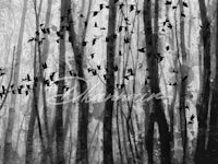 a black and white image of birds flying in a forest