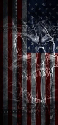 an american flag with a skull on it