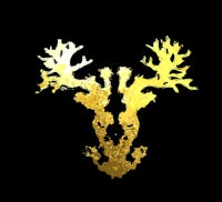 a gold deer skull on a black background