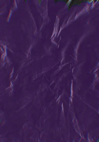 a purple flower on a black background