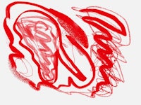a red drawing on a white surface
