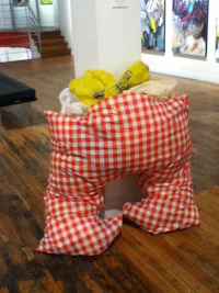 a red and white checkered pillow sitting on a wooden floor