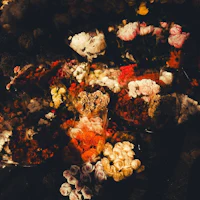 a bunch of flowers on a table in a dark room