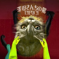 an image of a cat with a hand reaching out to it