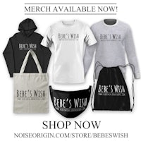 bee's wish t-shirt, hoodie, and bag