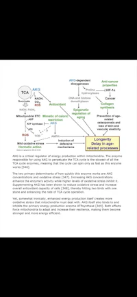a diagram showing the process of a drug