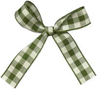 a green and white gingham bow on a black background