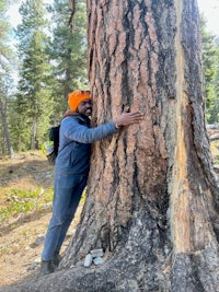 a man hugging a tree