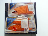 a picture of salmon in a plastic container