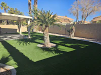 a backyard with artificial grass and palm trees