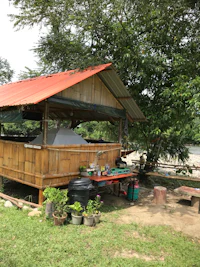 a wooden hut with a roof sitting on top of a tree