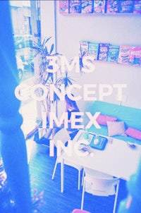 3ms concept mexico inc
