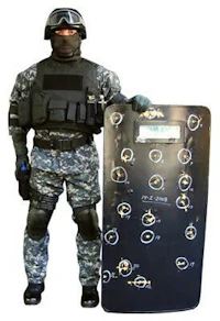 a man in a military uniform holding a shield