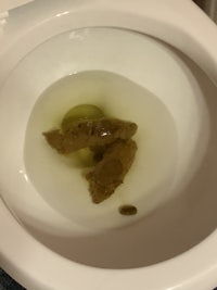 a toilet bowl with a piece of bread in it