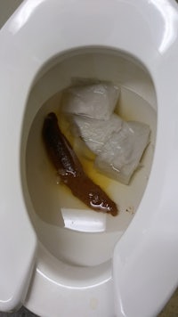 a toilet with a piece of fish in it