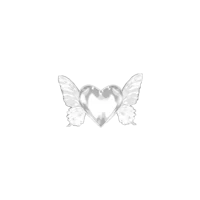 a heart with wings on a black background