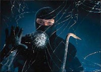the cover of a book with a ninja holding a cane