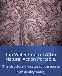 tap water control after natural action portable