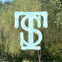 an image of a tree with the letter t on it