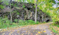 a dirt road surrounded by trees and rocks