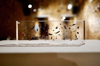 a piece of glass with a piece of paper on it