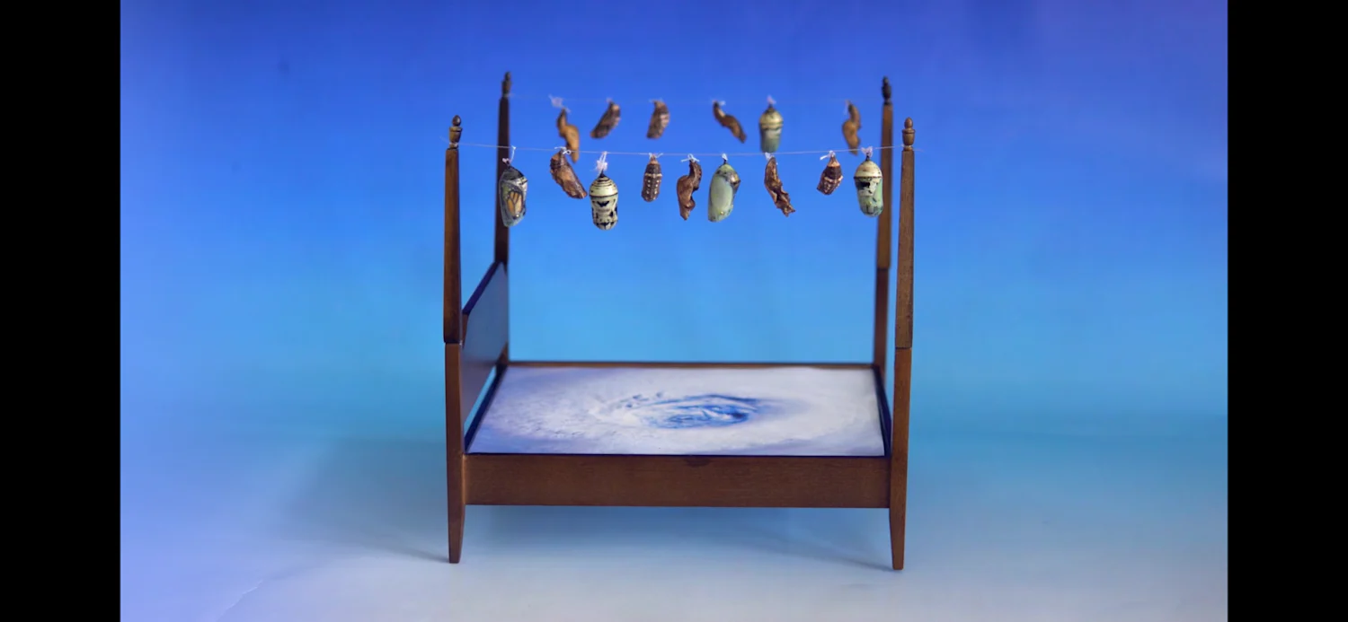a wooden stand with fish hanging from it