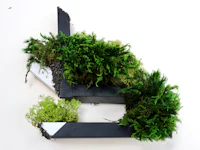 a terrarium made out of moss and plants