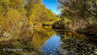 a river surrounded by yellow leaves and trees