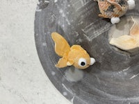 a group of goldfish sitting on a plate