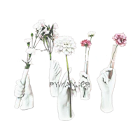 a group of hands holding flowers with the words solve fitgagalia written on them