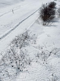 an aerial view of a snow covered path