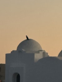 a white object is sitting on top of a white object