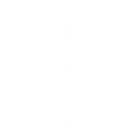 a star is drawn on a white background