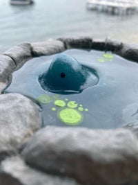 a small blue fish sitting in a pond near a body of water