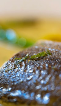 a close up of a fish in a sauce