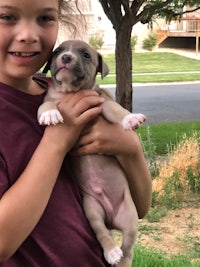 a young girl holding a puppy in her arms