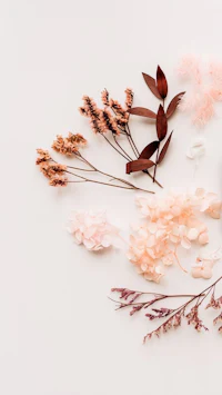 a bouquet of pink flowers on a white background