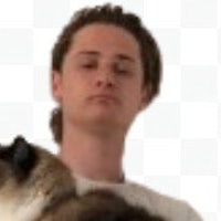 a man holding a siamese cat, hd png download