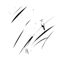 a black and white drawing of a bird perched on a branch