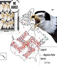 an eagle with a map of canada and an eagle with a map