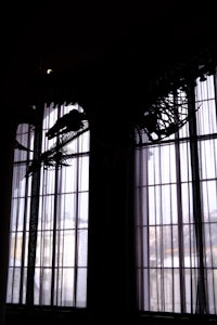 a skeleton hanging from the ceiling of a building